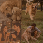 Four individual photographs used as tiles in the mosaic